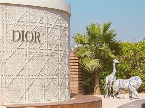 dior dubai nammos|dior time out dubai.